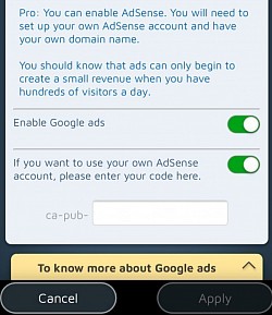 U kunt uw eigen Google Ads activeren op uw Pro-site.